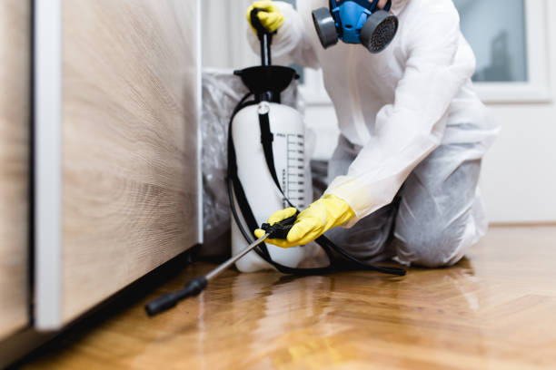 Best Pest Removal Services  in Centerville, TN