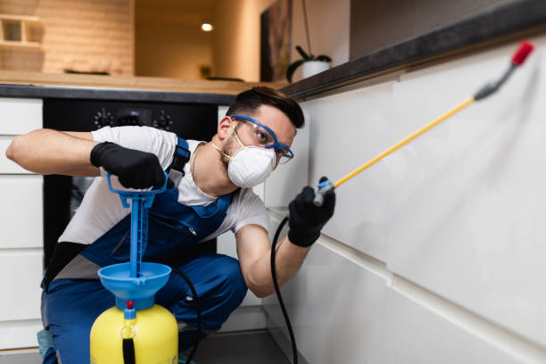 Best Pest Control Near Me in Centerville, TN