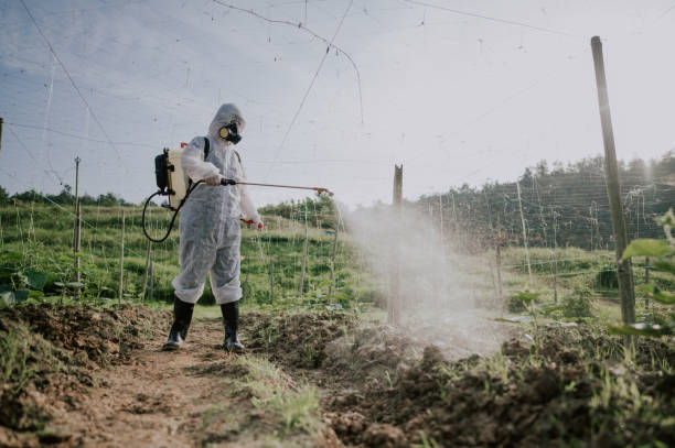 Best Local Pest Control Services  in Centerville, TN