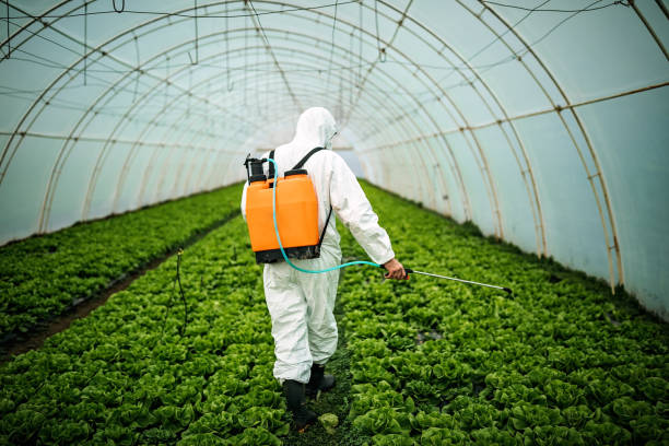 Pest Control for Restaurants in Centerville, TN