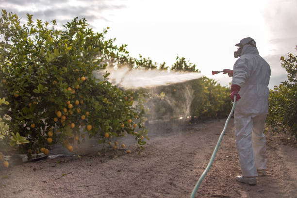 Best Bed Bug Extermination  in Centerville, TN
