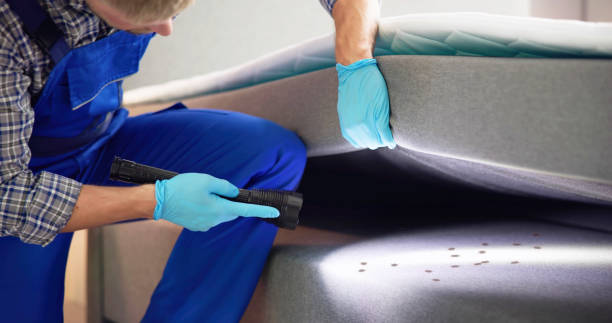 Best Commercial Pest Control Services  in Centerville, TN