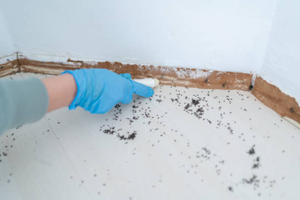 Best Pest Prevention Services  in Centerville, TN