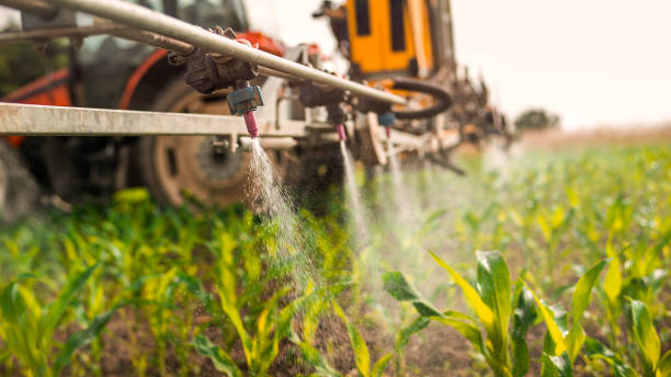 Best Ant Control Services  in Centerville, TN